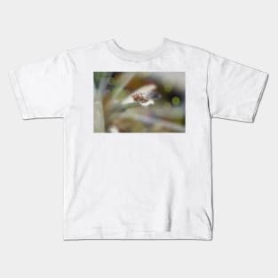 Cicada on Pineapple Tree in Summer Light Kids T-Shirt